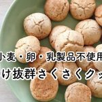 グルテンフリー  クッキー　簡単　レシピ 【マクロビオティック】【乳製品不使用】【卵不使用】【ヴィーガン】 【食物アレルギー】【時短】【米粉】