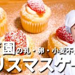 乳・卵・小麦不使用！甘さ控えめお母さん安心サンタの保育園の給食レシピ「クリスマスケーキ（アレルギー対応レシピ）」の作り方【あおいの給食室～子どもと食べる魔法のレシピ＆ミールキット】 管理栄養士 夫婦