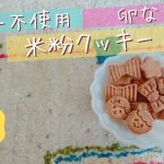 【米粉クッキー】バター不使用（乳製品なし）・卵なし材料5つの簡単レシピ